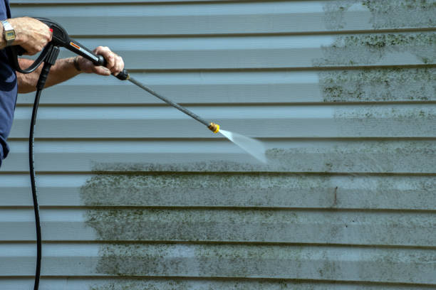 Best Affordable Power Washing  in Carnegie, PA