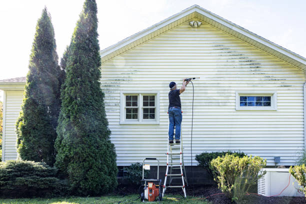Best Roof Power Washing Services  in Carnegie, PA