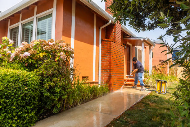 Best Affordable Pressure Washing  in Carnegie, PA